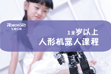 上海乐博乐博机器人上海乐博人型机器人编程课程（12岁以上）图片