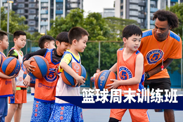 广州五星体育运动广州篮球周末培训班图片