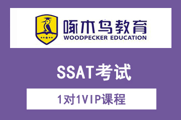 上海啄木鸟教育SSAT考试1对1VIP课程图片
