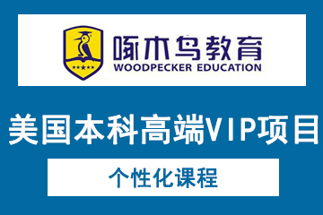 上海啄木鸟教育美国本科高端VIP项目图片