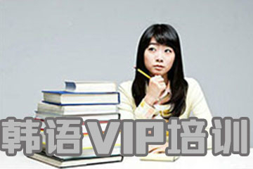 武汉扬格韩语VIP培训课程图片