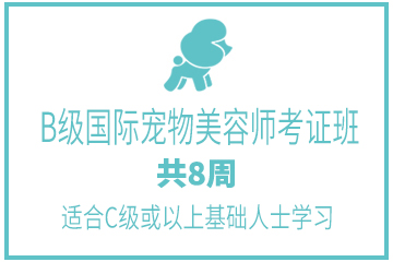 广州茉莉园宠物美容培训中心广州B级国际宠物美容师考证班图片