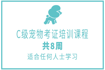 广州茉莉园宠物美容培训中心广州C级国际宠物美容师考证班图片