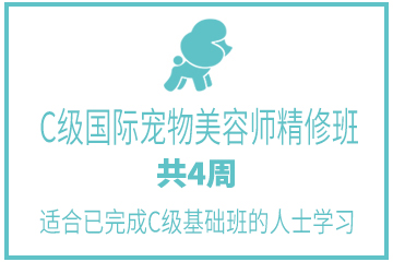 广州茉莉园宠物美容培训中心广州C级国际宠物美容师精修班图片