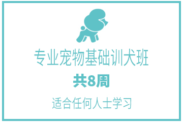 广州茉莉园宠物美容培训中心广州专业宠物基础训犬班图片