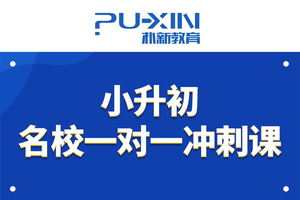 重庆朴新教育艺术生文化冲刺辅导课程