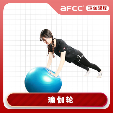 上海体适能AFCC上海体适能瑜伽轮培训课程图片