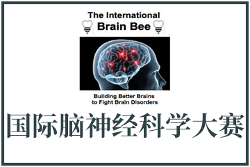 Brain Bee国际脑神经科学大赛图片